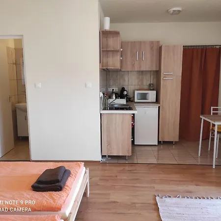 Guest house Montana-ederics Vendeghaz *