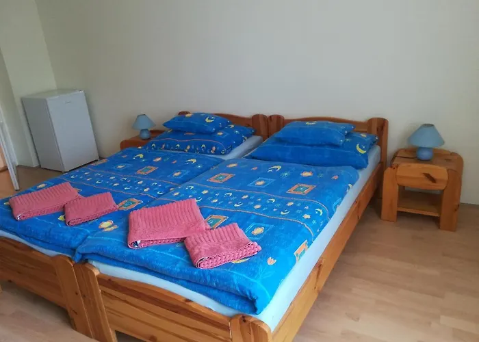 Montana-ederics Vendeghaz 4*